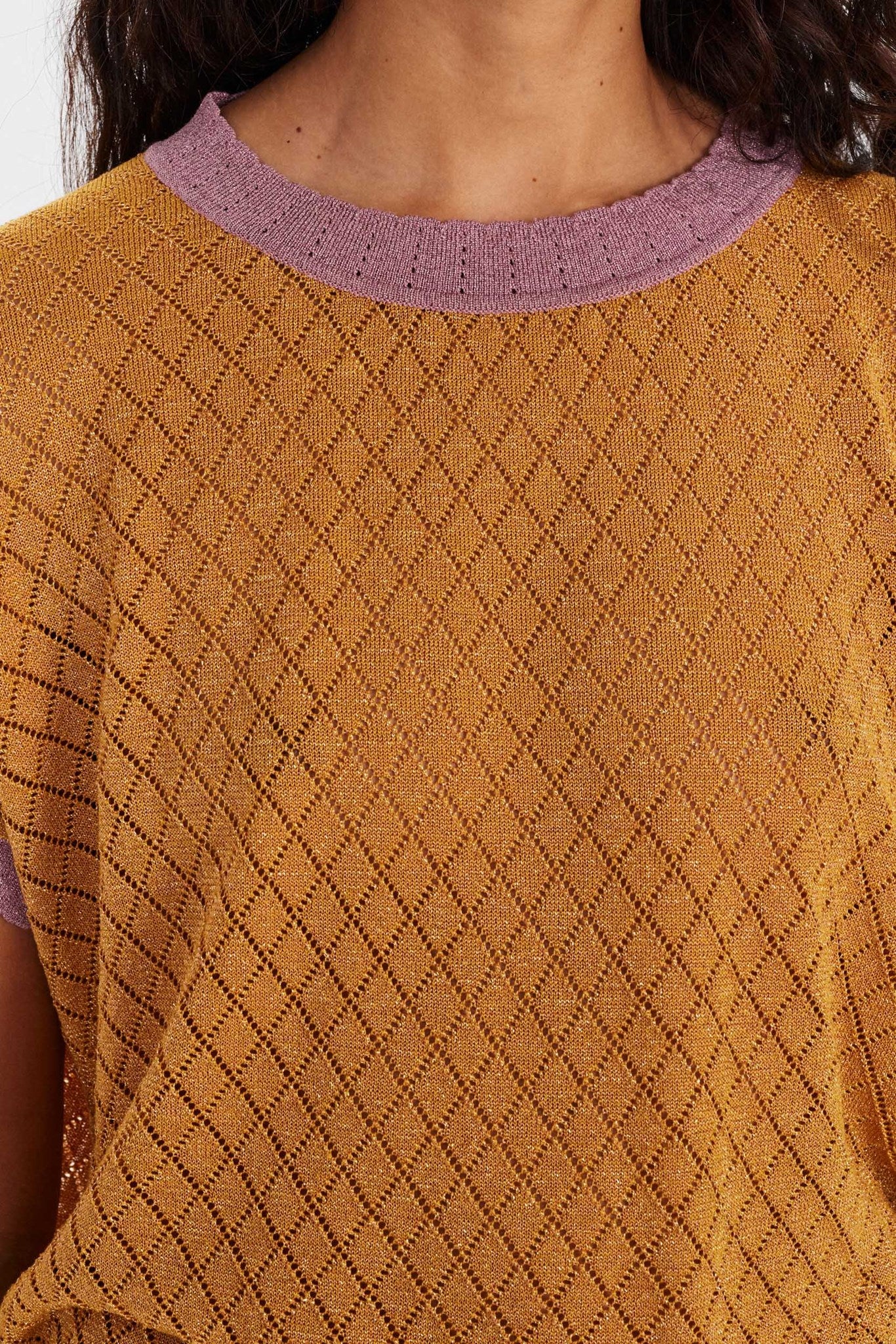 702331 Golden Spice 4